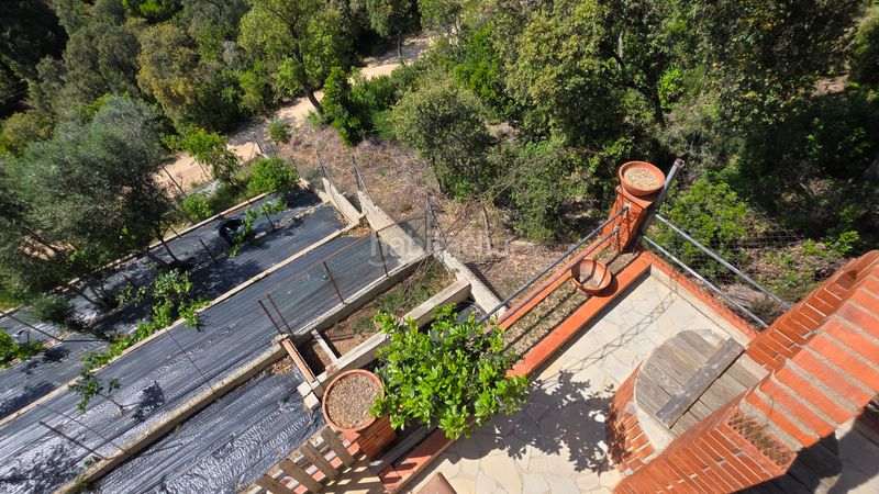 Foto fe96ad24-a2b1-4d05-99fb-2c60da084bbd. Xalet amb calefacció aparcament piscina a Lloret Residencial - Montlloret Lloret de Mar