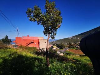 Terreno residencial en Camino los frontones-1 78. Casa en venta en la orotava