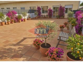 Pis  Fontoura. Apartamento a estrenar