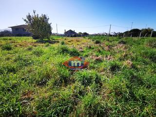 Finca rústica  Centro. Terreno en venta en tui