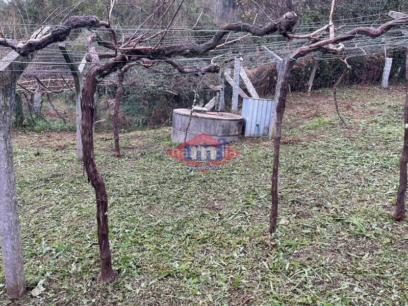 Foto e231d537-9eba-4da9-8e2b-bbeabbeb8bb3. Finca rústica terreno en venta ! en Salceda de Caselas