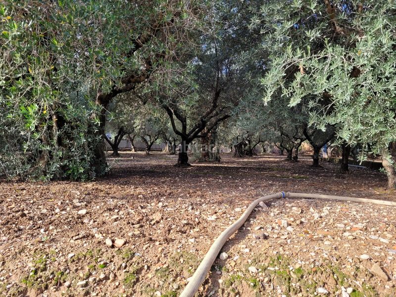 Foto 01352d74-3f44-45f9-a83c-ce6006907776. Casa amb aparcament a Cocentaina