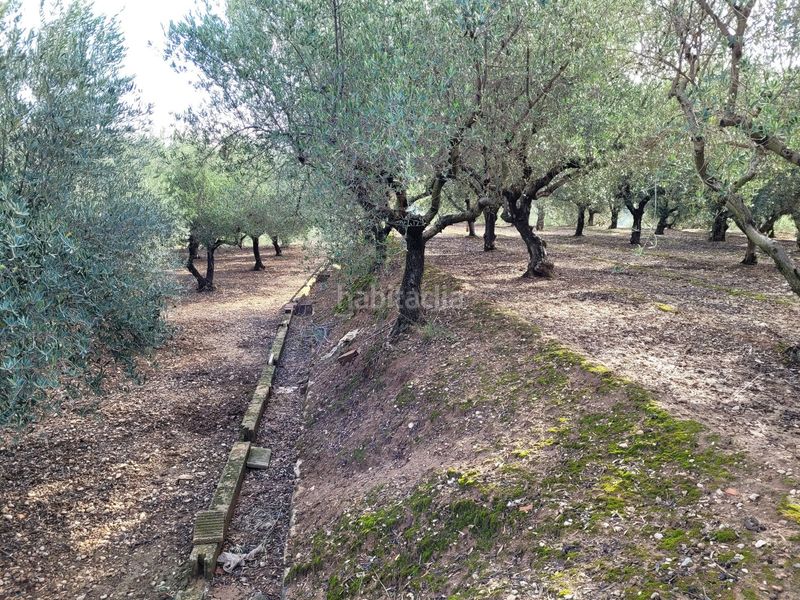 Foto 78abded8-00f3-4ca3-a01b-4aee18996b7c. Casa amb aparcament a Cocentaina
