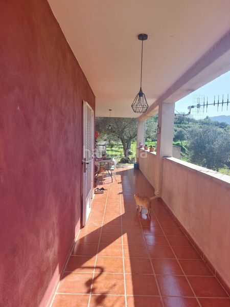 Foto 5a5364fc-5ef6-4d8a-8051-986324dbf52b. Casa amb aparcament piscina a Planes