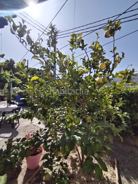 Foto 9ebc17e2-9909-4a1a-ac2e-c9b867d90077. Casale con parcheggio in Cocentaina