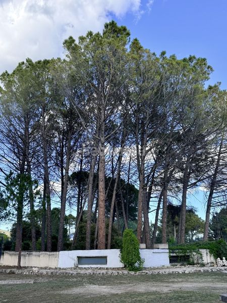 Foto 6d2858c9-3583-4195-aeb5-ec5c8e9bb7eb. Casa amb calefacció piscina a Batoi Alcoi