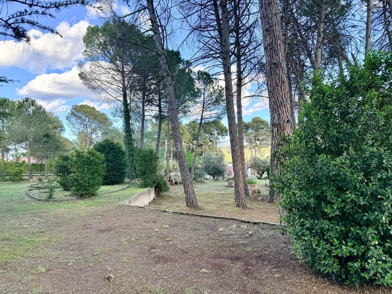 Foto 8801095c-40e5-4cef-babd-b733e29a4bac. Casa amb calefacció piscina a Batoi Alcoi