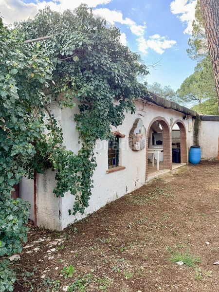 Foto fdd39b02-1606-42ee-8999-99c41846607e. Casa amb calefacció piscina a Batoi Alcoi