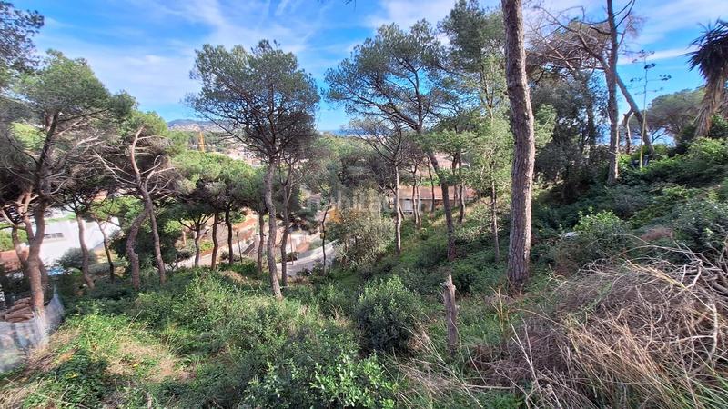 Foto 4f6d8da9-c6c9-468e-8eb6-cb0d68db5803. Wohngrundstück in Premià de Dalt