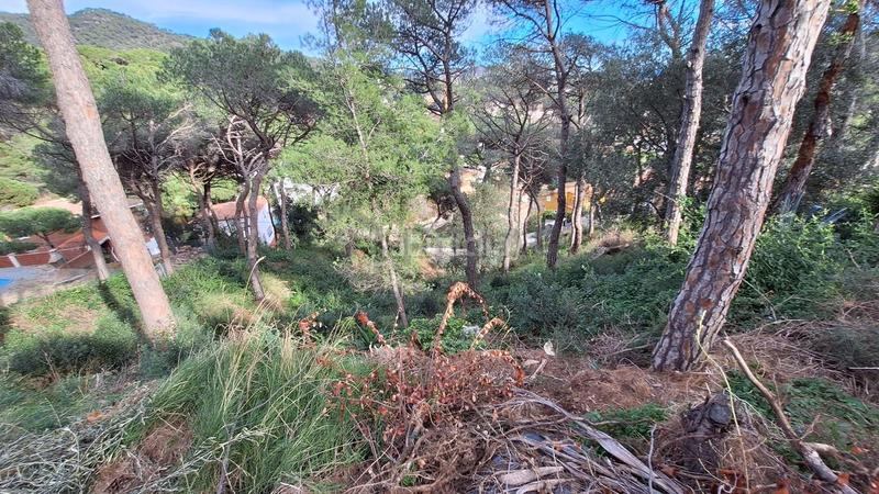 Foto 843c937e-8133-47e1-b008-ecc6bde93843. Wohngrundstück in Premià de Dalt