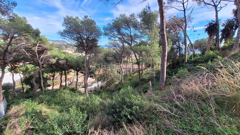 Foto 9cb7a585-7e22-437c-8ee9-86015db62597. Wohngrundstück in Premià de Dalt