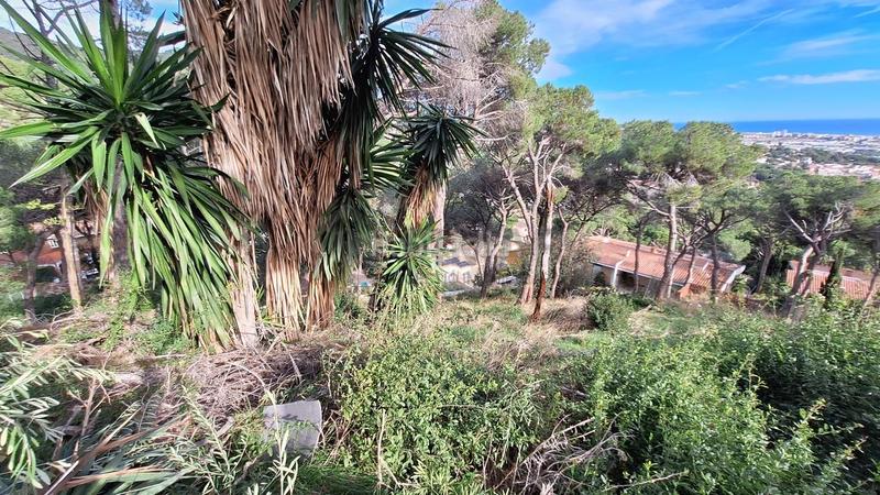 Foto a51ca086-6d14-49f4-8d6d-9cdf1121d2db. Wohngrundstück in Premià de Dalt