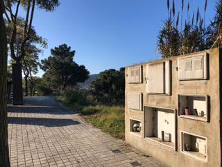 Terreny residencial  Carrer can valls. Terreno can valls