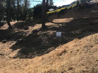 Terreny residencial a Nucli Urbà. Terreno