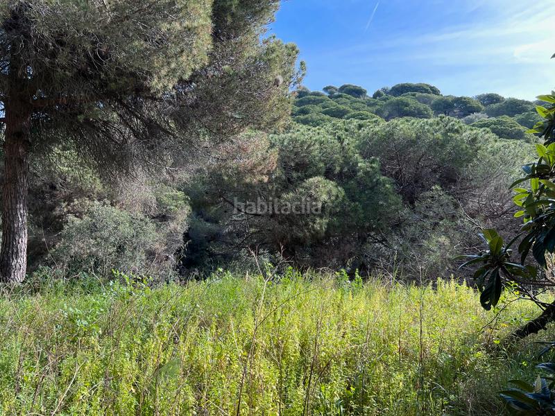 Foto 23242216-065c-4e6f-a49b-943a5efef1d0. Casa amb xemeneia calefacció aparcament a Alella