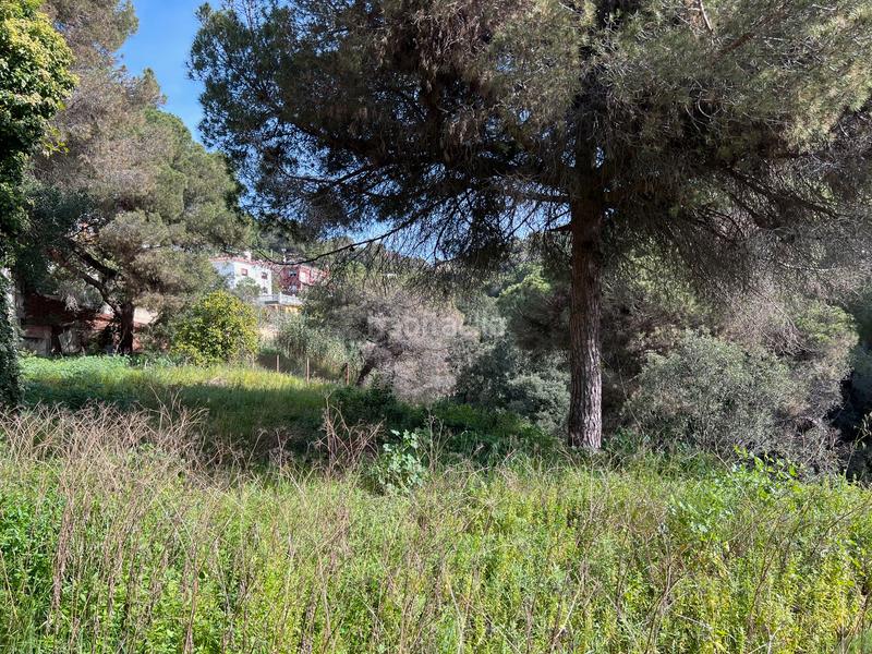 Foto 6d0a0582-385e-4ba6-94f2-4f5a24dbe313. Casa amb xemeneia calefacció aparcament a Alella