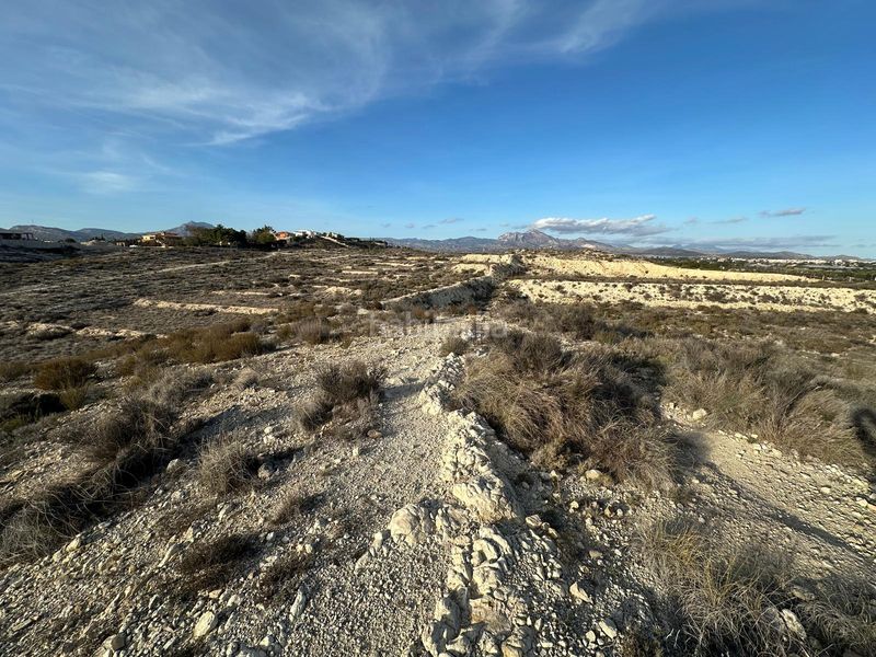 Foto 0608c9bc-b247-48b6-9457-9074888b3508. Finca rústica a Villafranqueza Alicante