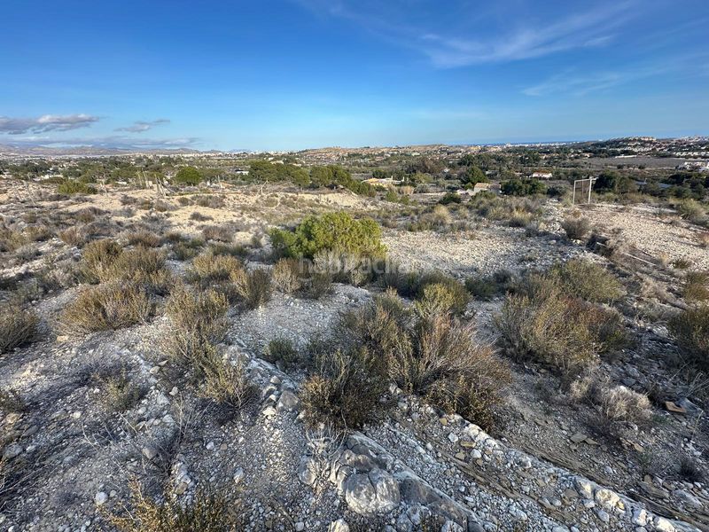 Foto c67aceb1-fe00-4d1b-b86e-404b1ce13f4a. Finca rústica a Villafranqueza Alicante
