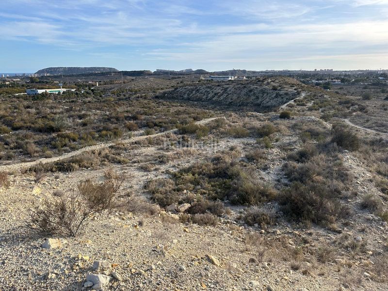 Foto d938baef-1239-4edf-9b8f-3e2679c218ec. Finca rústica a Villafranqueza Alicante