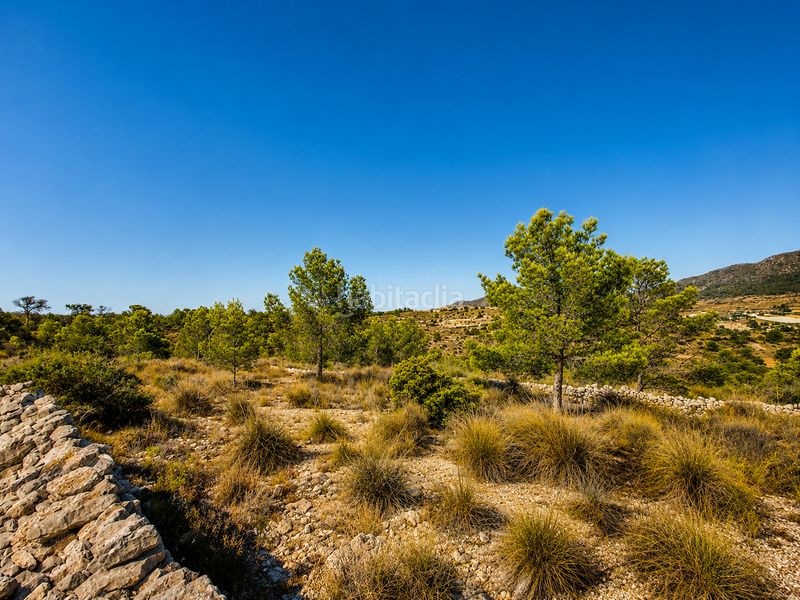 Foto a1da46ee-f452-4fce-88f9-6d8e8978fefe. Finca rústica a Romana (la)