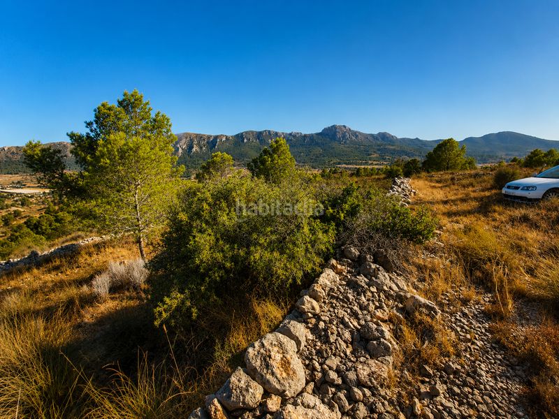 Foto ab4647a6-3072-4950-aa67-b29bc3b2a337. Finca rústica a Romana (la)