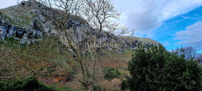 Foto 61aee419-9487-4db2-b42d-69410148cb05. Fondo rustico in Oriñón- Allendelagua Castro - Urdiales