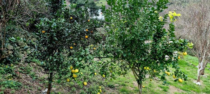 Foto b1e54bd3-3f30-4bd5-b403-06780697c573. Fondo rustico in Oriñón- Allendelagua Castro - Urdiales