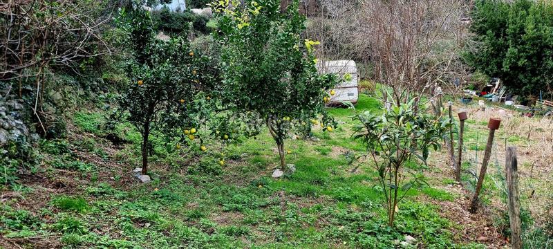 Foto c2036dc5-f231-4e1a-b5d1-9b9de03409f7. Fondo rustico in Oriñón- Allendelagua Castro - Urdiales