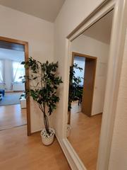 Lloguer Pis a Ollerías - San Cayetano. Apartamento amueblado con 1 dormitorio