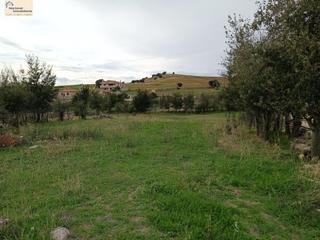 Terreny residencial  Calle javier otero. Solar para construir