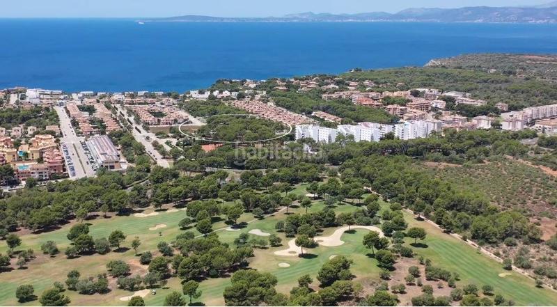 Foto 5905710b-01d4-44d3-b2a3-7f8f92067ad6. Semi detached house with heating parking pool in Maioris-Puig de Ros Llucmajor