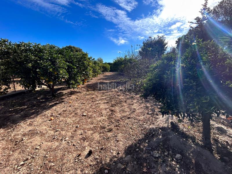 Foto a6b87613-ff52-4660-b68e-bc2f0eef1163. Xalet amb aparcament piscina a Los Balcones-Los Altos Torrevieja
