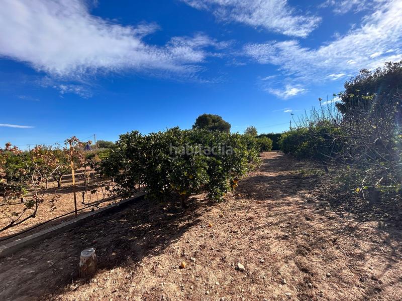 Foto b6a0d7e6-7eb3-462b-a9fb-1cabaeec803b. Xalet amb aparcament piscina a Los Balcones-Los Altos Torrevieja
