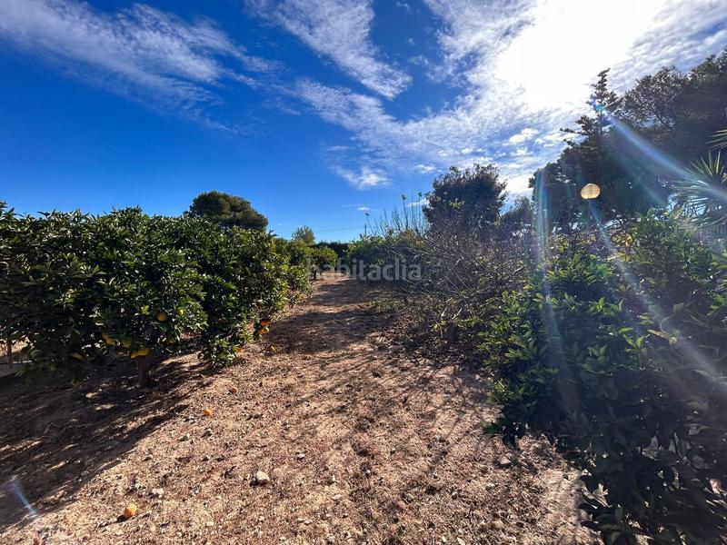 Foto f27cea23-be2c-47f0-93c1-4e1d1a34ff32. Xalet amb aparcament piscina a Los Balcones-Los Altos Torrevieja