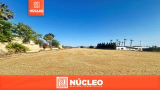 Masia a Catral. Atención inversores!  les presentamos en exclusiva esta fantásit