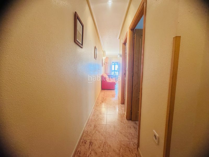 Foto bc9e8c45-9baa-46a1-bd49-adcadaa411ec. Pis a Avenida Habaneras - Curva de Palangre Torrevieja