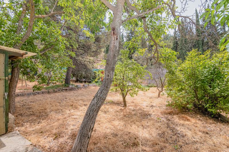 Foto 1b354b54-cbc0-4295-8914-6e2a788cd7a5. House in Cumbres Verdes Zubia (La)