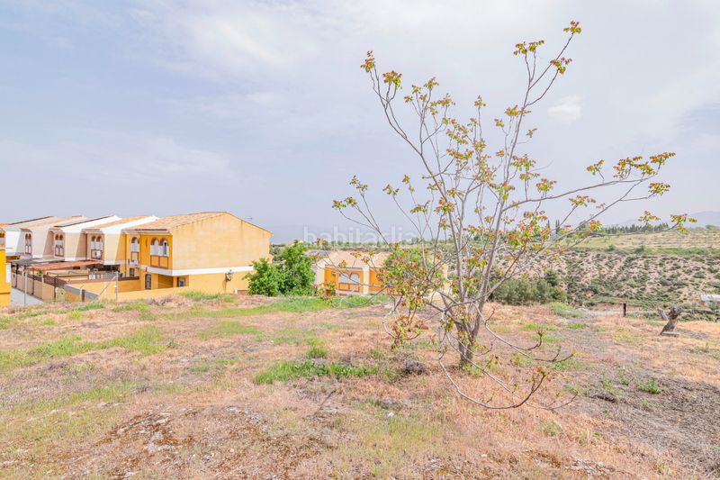 Foto d5e23acf-e579-4ad1-acb4-828c13ffb02b. Terreny residencial a Gójar