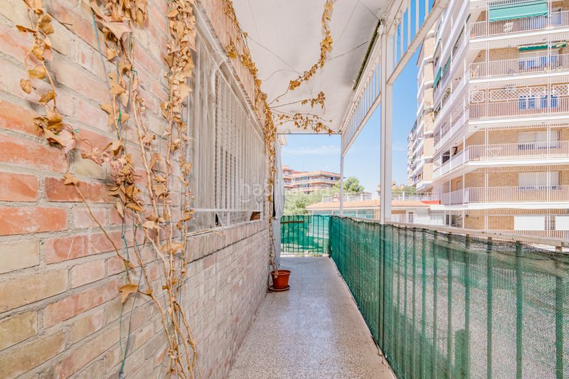 Foto 8d3687a7-e08f-4d36-b6d0-7ea3eff9b2fd. Pis a Barrio de Zaidín Granada