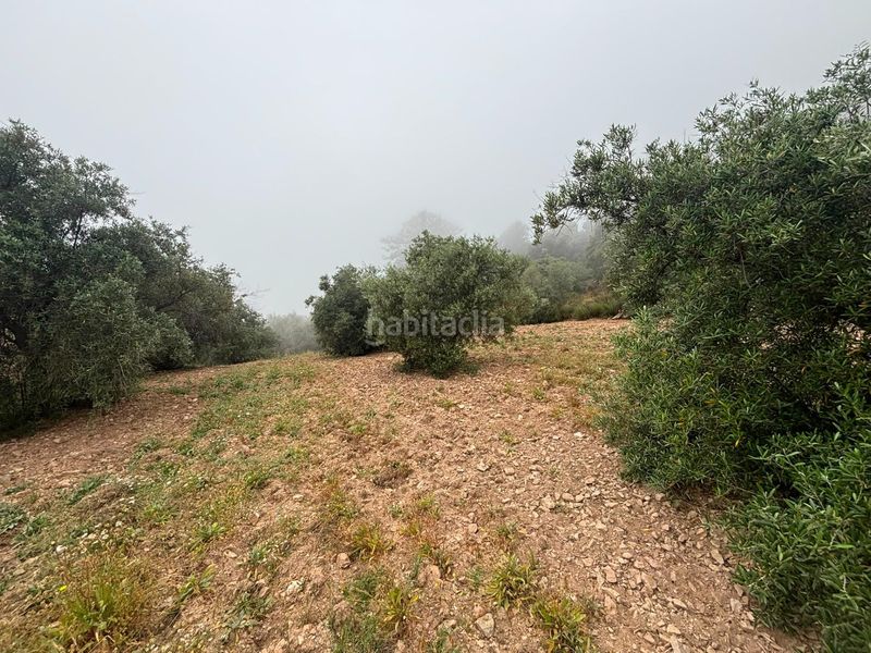 Foto 00c0f632-685d-4d42-a22f-628f3255eb88. Finca rústica a Órgiva