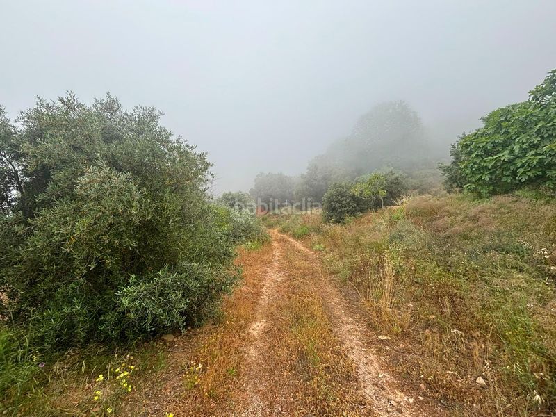 Foto 2a50cb51-9e7e-4c35-97bf-ad350685aec4. Finca rústica a Órgiva