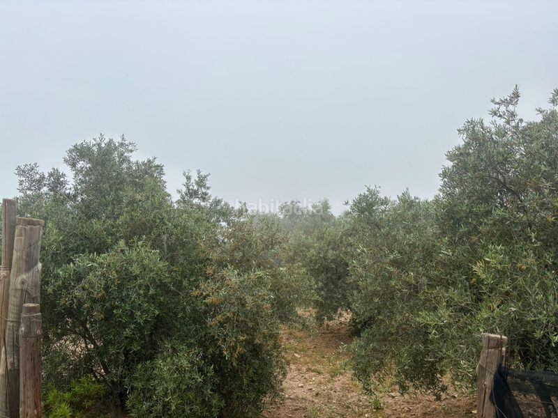 Foto 479cf40d-f1a9-4adc-88be-3725e83d16c3. Finca rústica a Órgiva