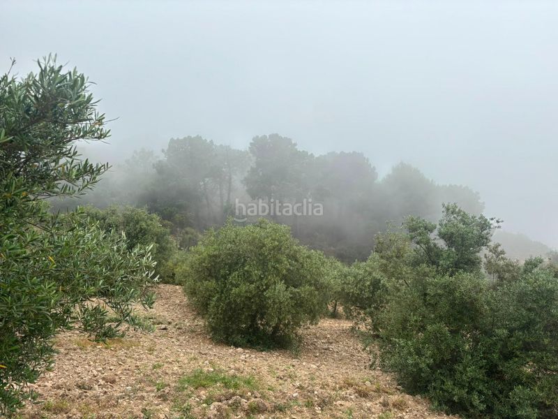 Foto 4e8e3ea9-71e3-4c54-9ac2-e6fc194ea8d6. Finca rústica a Órgiva