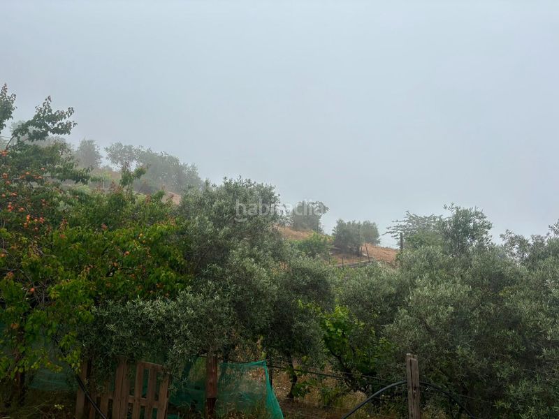 Foto a0acc985-0f87-4b44-96e9-ffdbdead292b. Finca rústica a Órgiva