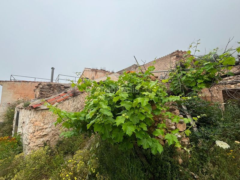 Foto b84e06a5-d9c7-4408-9bba-280ef33968d1. Finca rústica a Órgiva