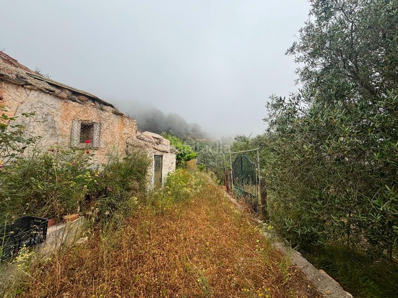 Foto c1340e0c-7f9f-4ce1-923e-7d02d942fb93. Finca rústica a Órgiva