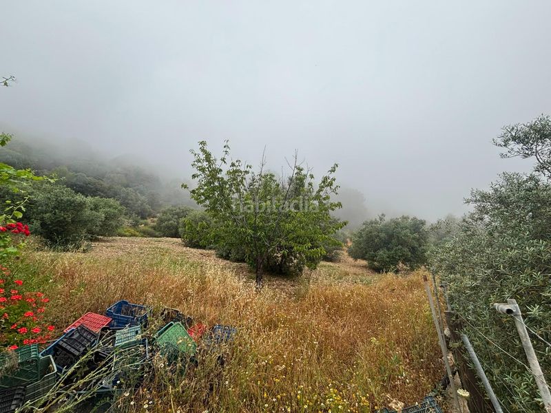 Foto ce668cbf-caf2-402a-8463-1826a7d1b2a4. Finca rústica a Órgiva