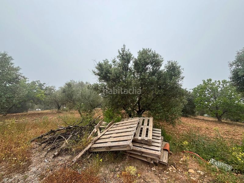 Foto e44862e9-e816-4af0-9166-51f3f879d3d5. Finca rústica a Órgiva