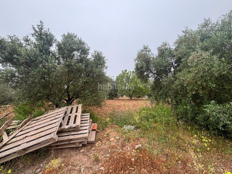 Foto f172d572-3c91-4110-a33f-4ed189f814e0. Finca rústica a Órgiva