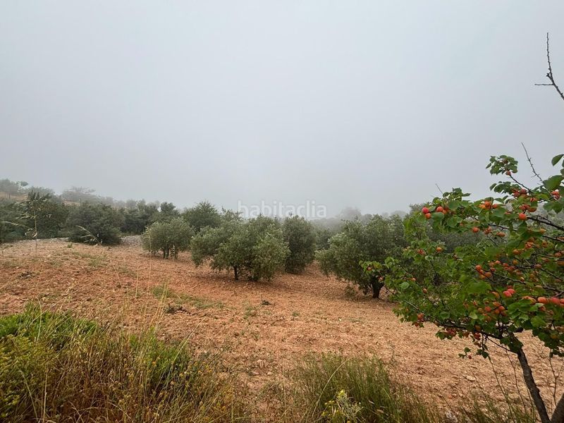 Foto f7470a7c-9b27-4942-ae42-ce45d5ddf375. Finca rústica a Órgiva
